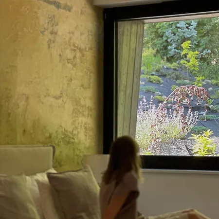 Strome Zbocze Na Turystycznej * 슈차이르크