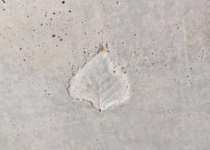 Strome Zbocze Na Turystycznej